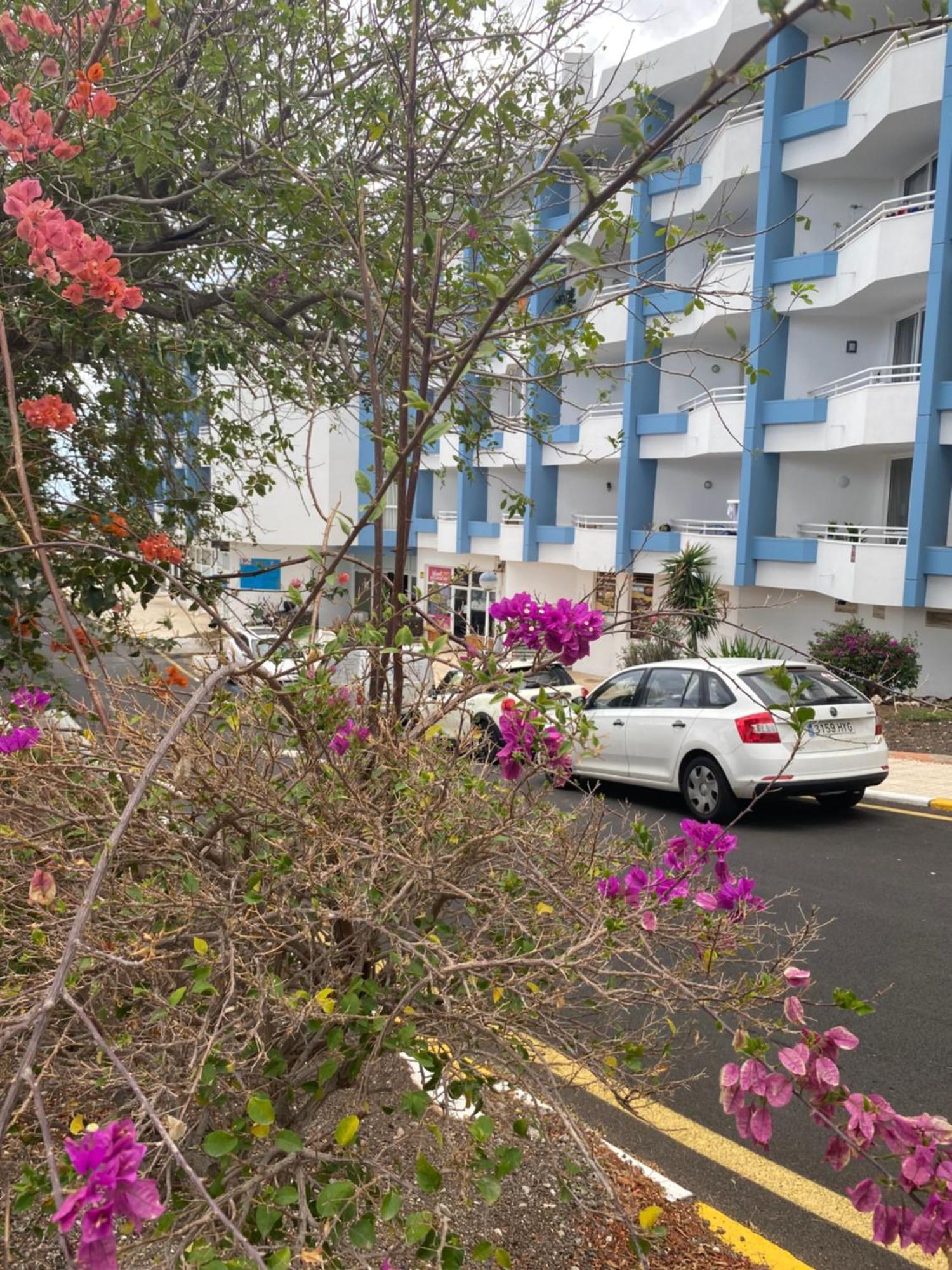 סן מיגל דה אבונה Sissy Tenerife Apartman מראה חיצוני תמונה