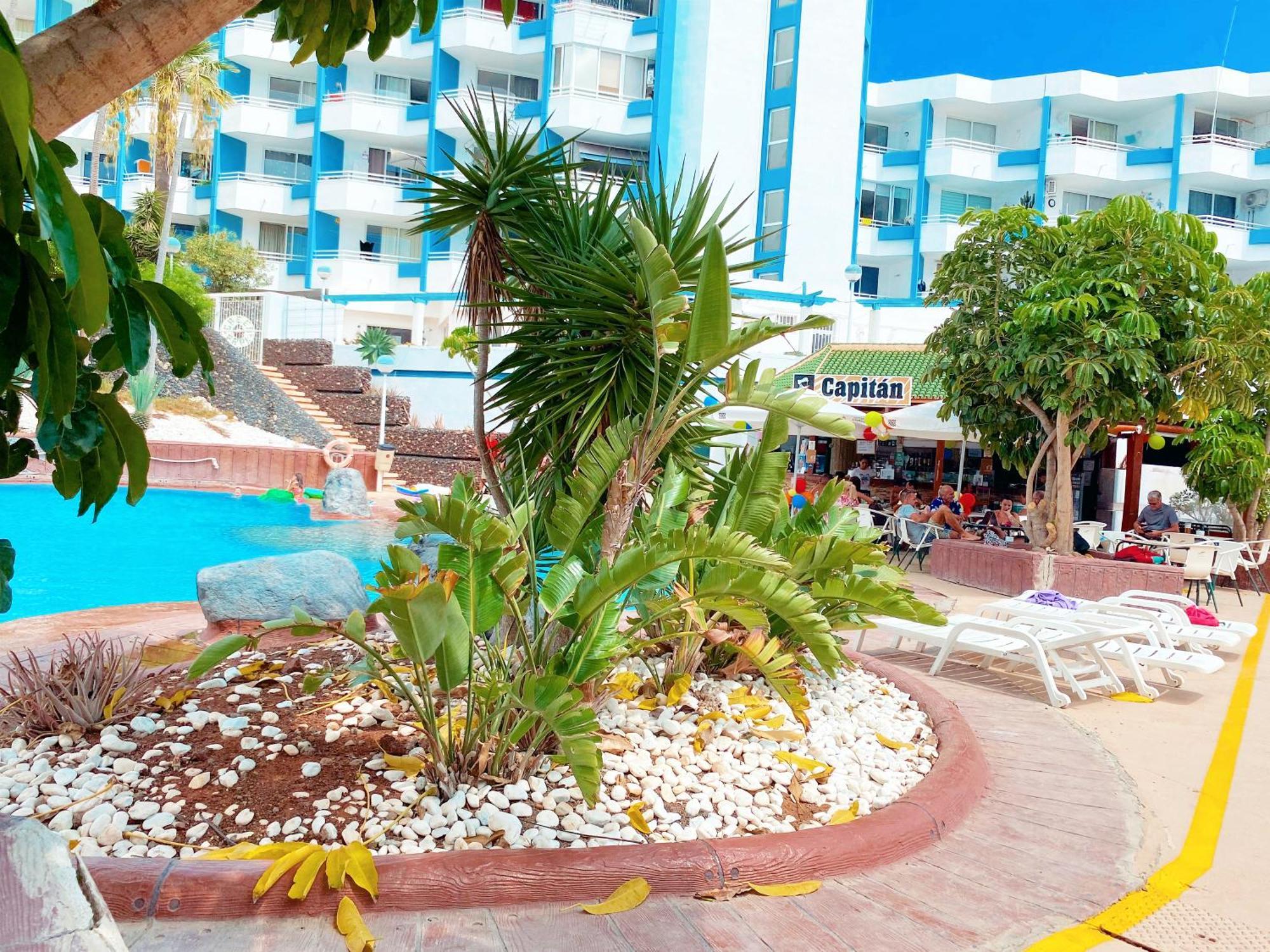 סן מיגל דה אבונה Sissy Tenerife Apartman מראה חיצוני תמונה